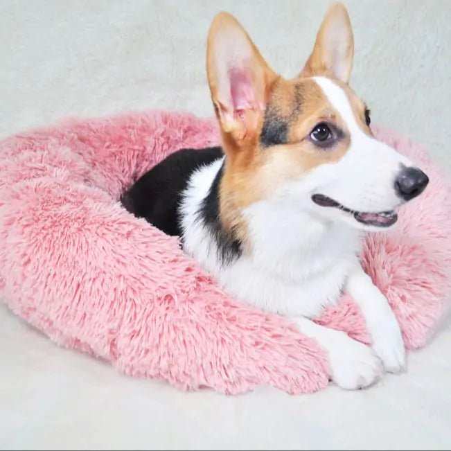 Pet Calming Bed - Essential Rush 